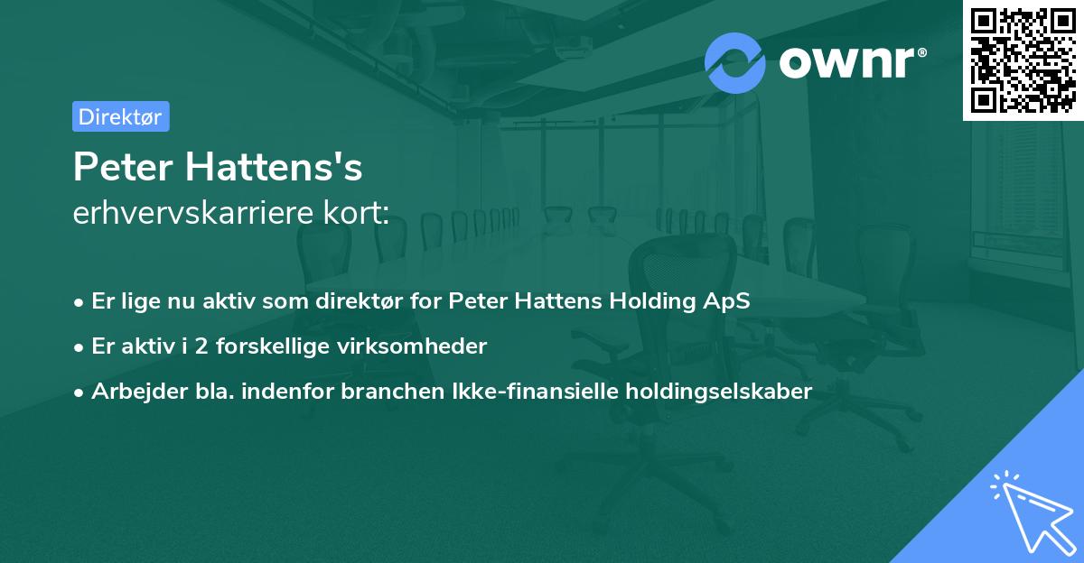 Peter Hattens's erhvervskarriere kort
