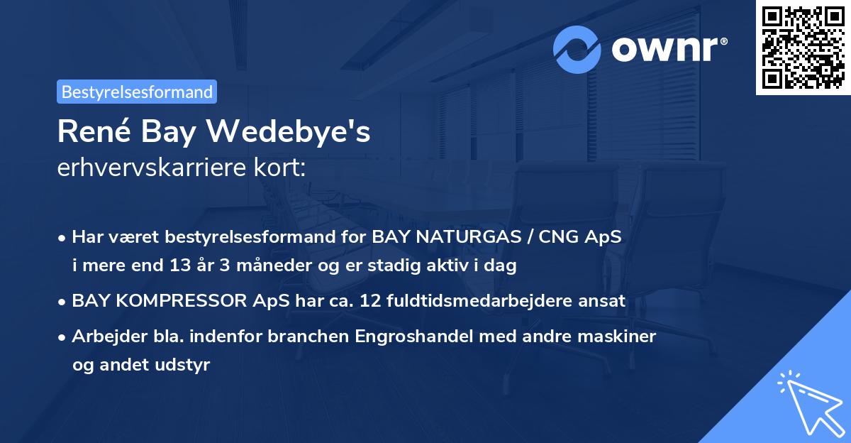 René Bay Wedebye's erhvervskarriere kort