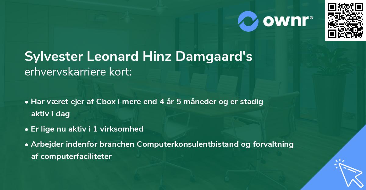 Sylvester Leonard Hinz Damgaard's erhvervskarriere kort