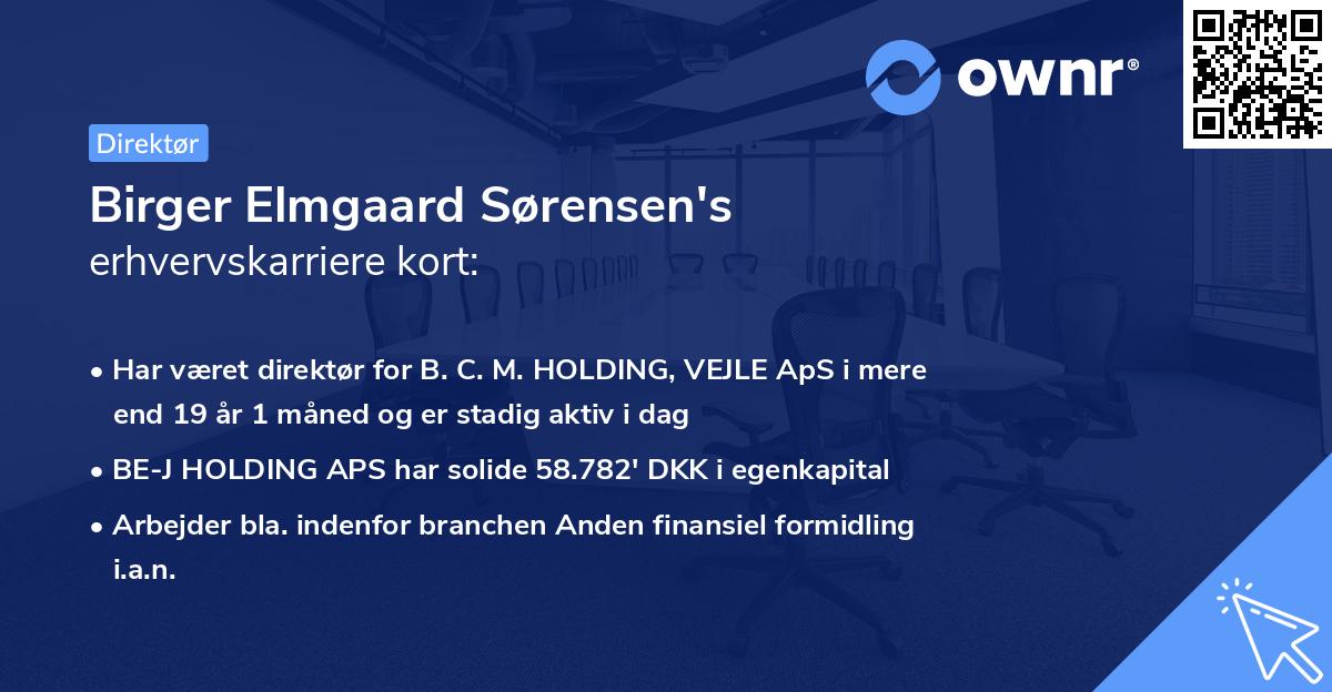 Birger Elmgaard Sørensen's erhvervskarriere kort