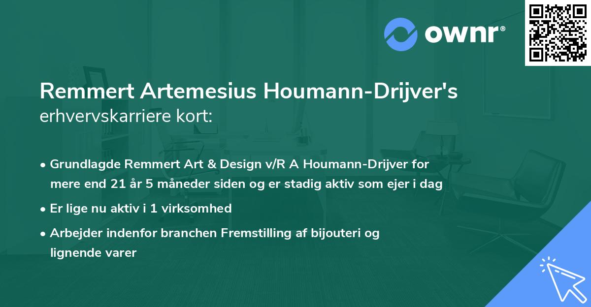 Remmert Artemesius Houmann-Drijver's erhvervskarriere kort