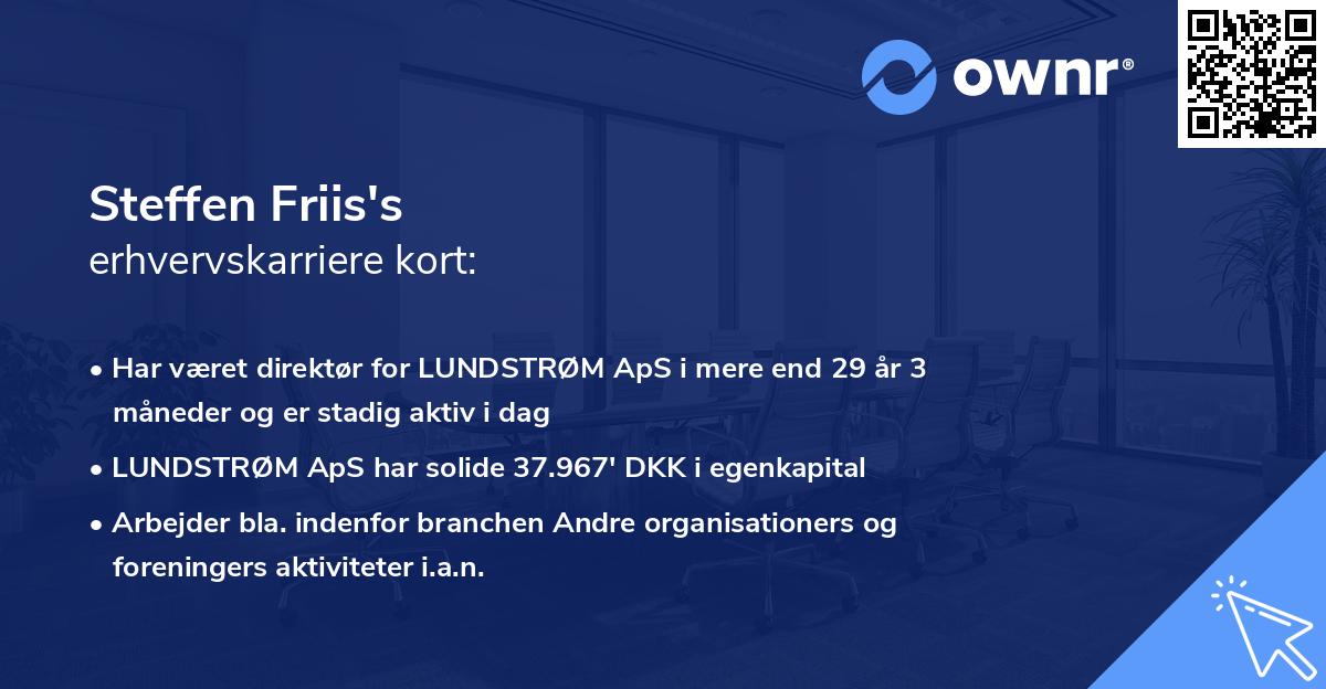 Steffen Friis's erhvervskarriere kort