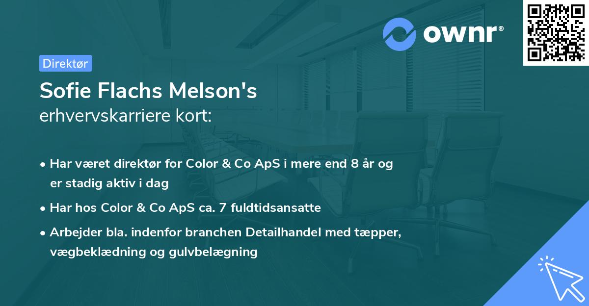 Sofie Flachs Melson's erhvervskarriere kort