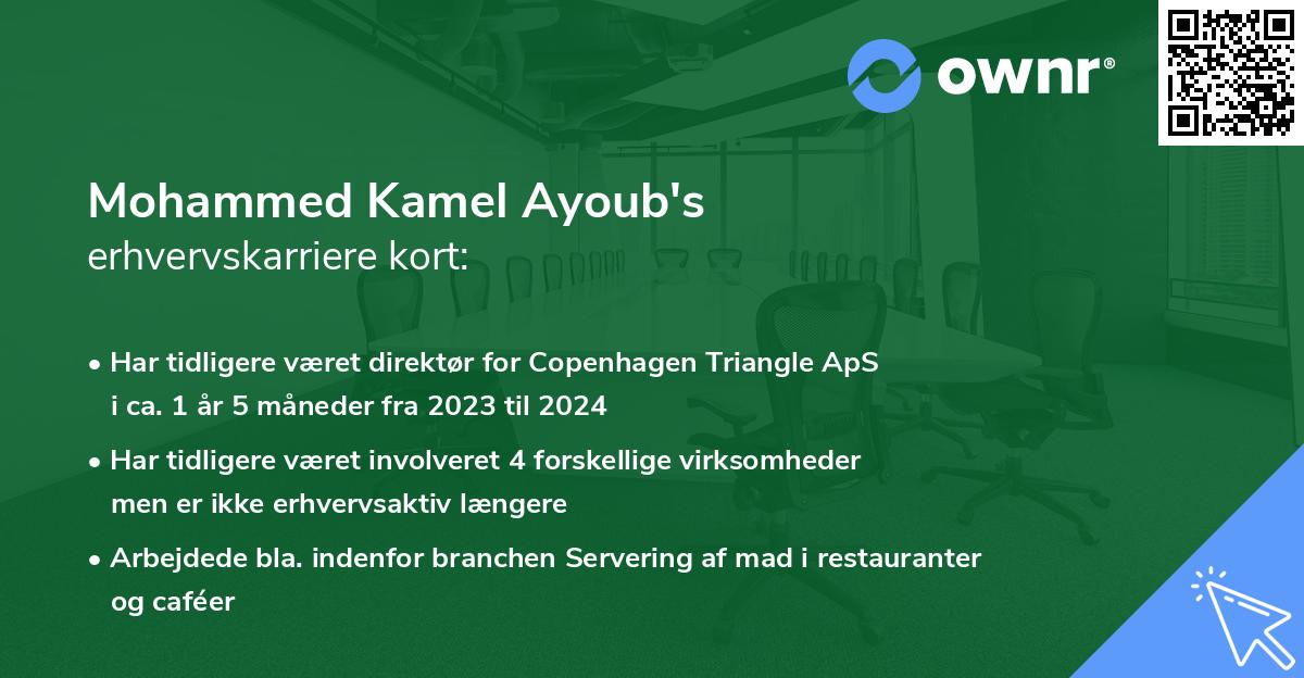 Mohammed Kamel Ayoub's erhvervskarriere kort