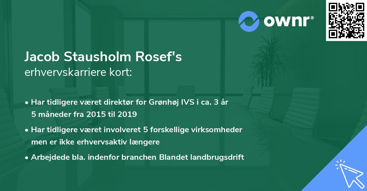 Jacob Stausholm Rosef's erhvervskarriere kort