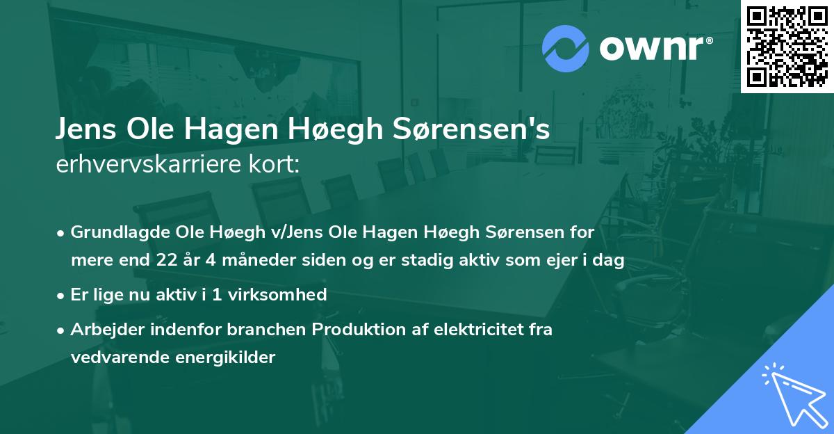 Jens Ole Hagen Høegh Sørensen's erhvervskarriere kort