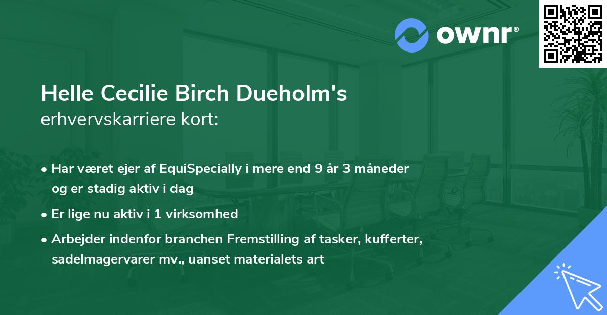 Helle Cecilie Birch Dueholm's erhvervskarriere kort