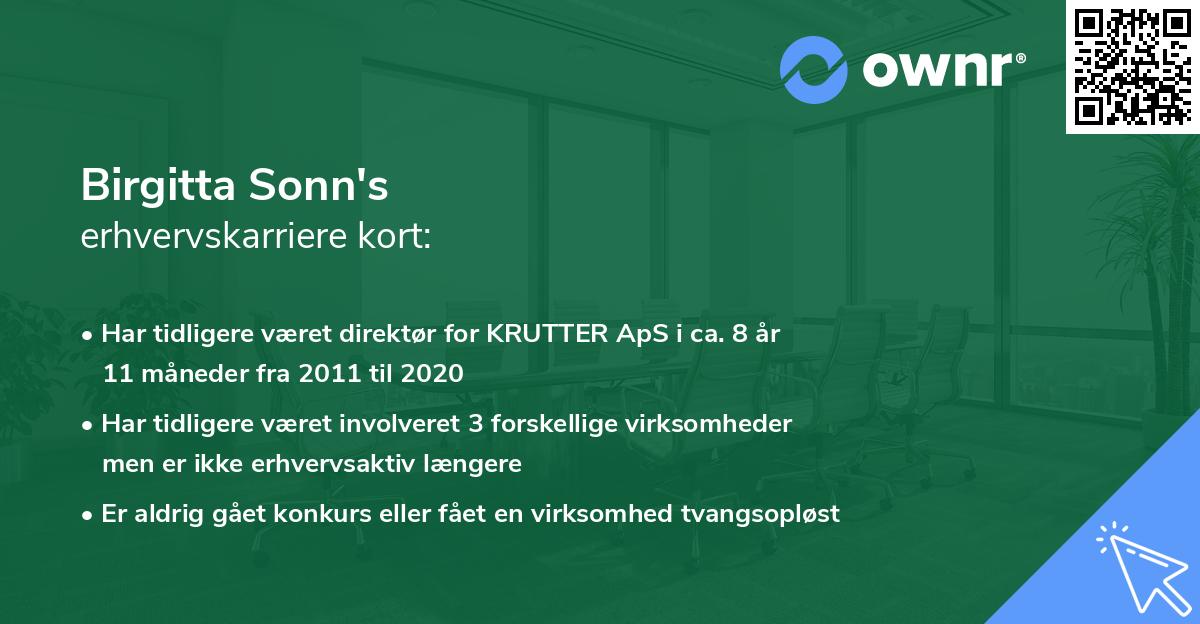 Birgitta Sonn's erhvervskarriere kort