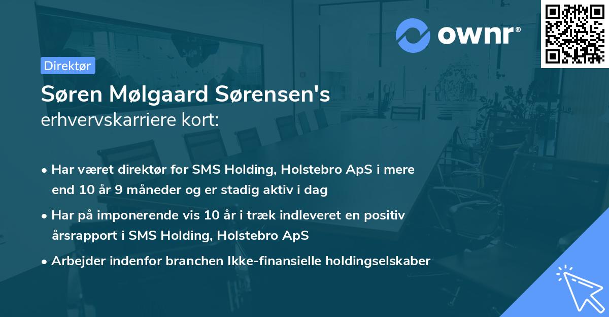 Søren Mølgaard Sørensen's erhvervskarriere kort