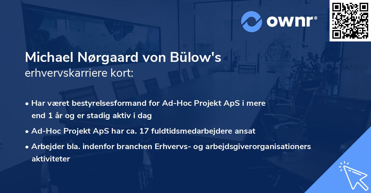 Michael Nørgaard von Bülow's erhvervskarriere kort