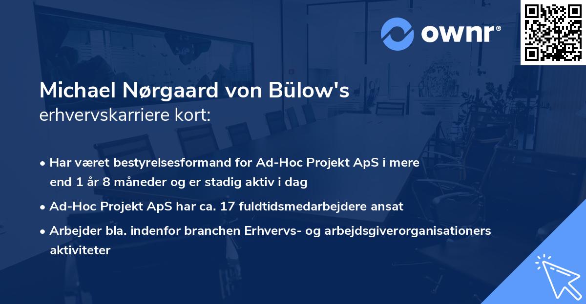 Michael Nørgaard von Bülow's erhvervskarriere kort