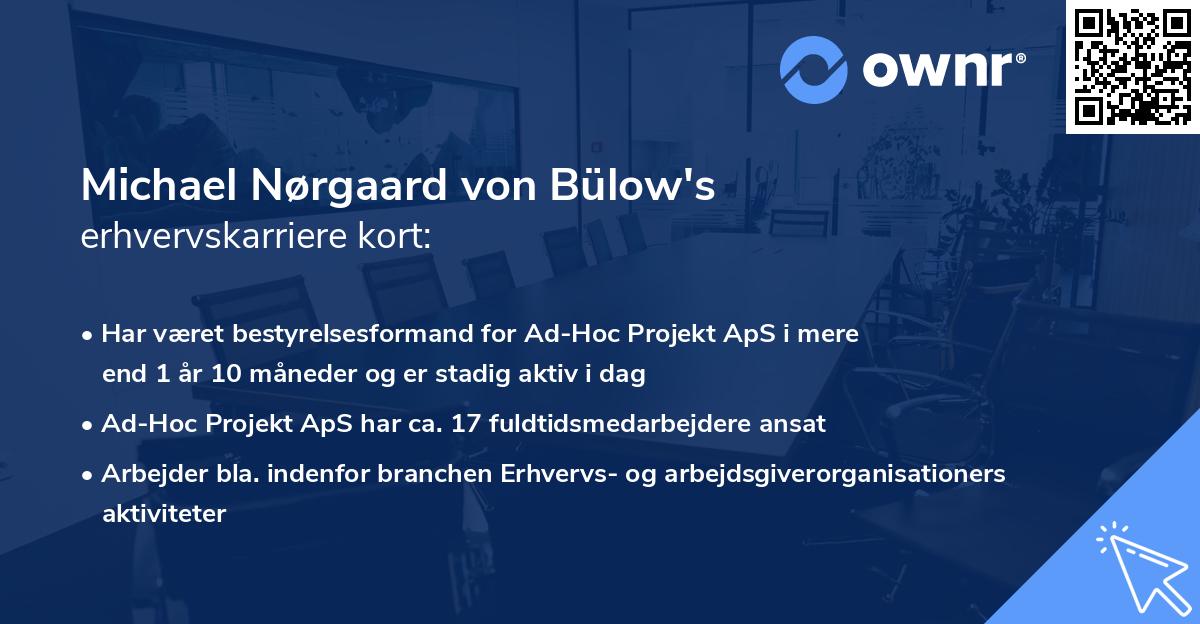 Michael Nørgaard von Bülow's erhvervskarriere kort