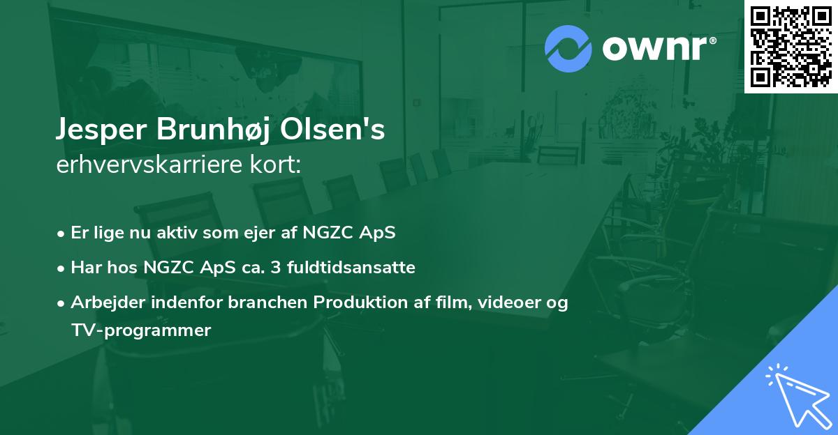 Jesper Brunhøj Olsen's erhvervskarriere kort