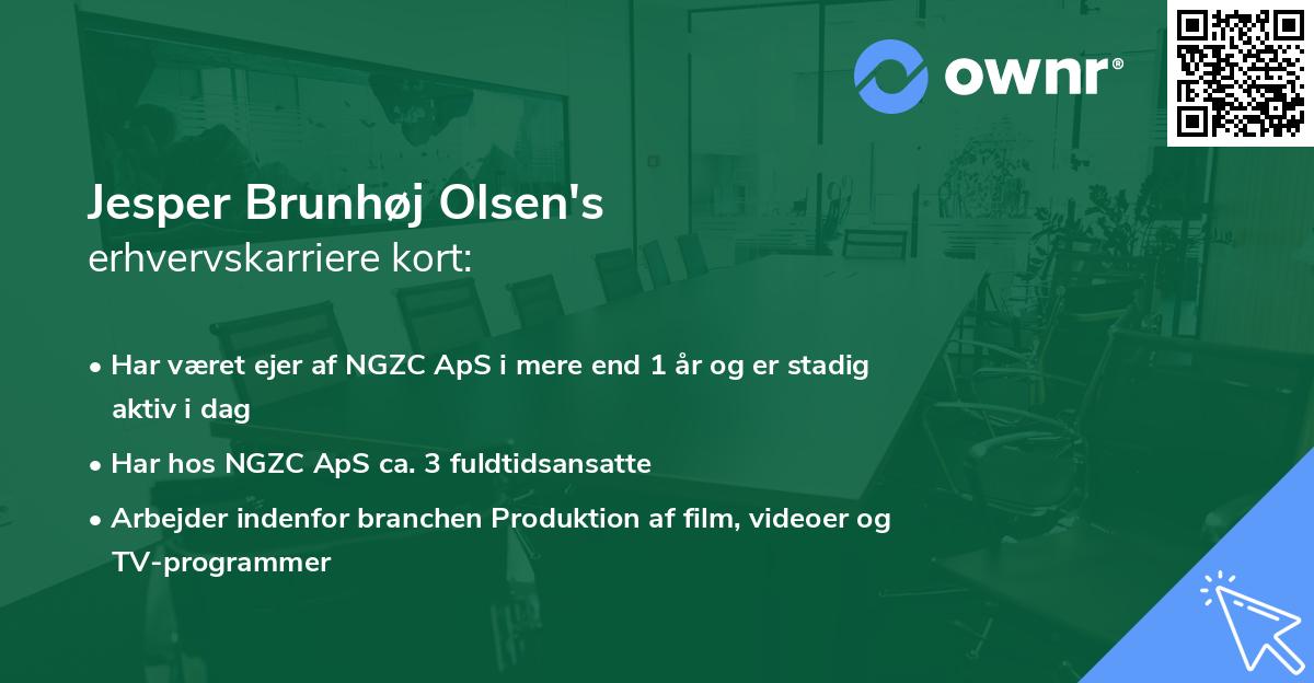 Jesper Brunhøj Olsen's erhvervskarriere kort