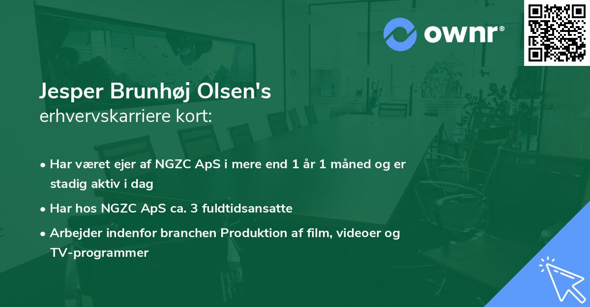 Jesper Brunhøj Olsen's erhvervskarriere kort