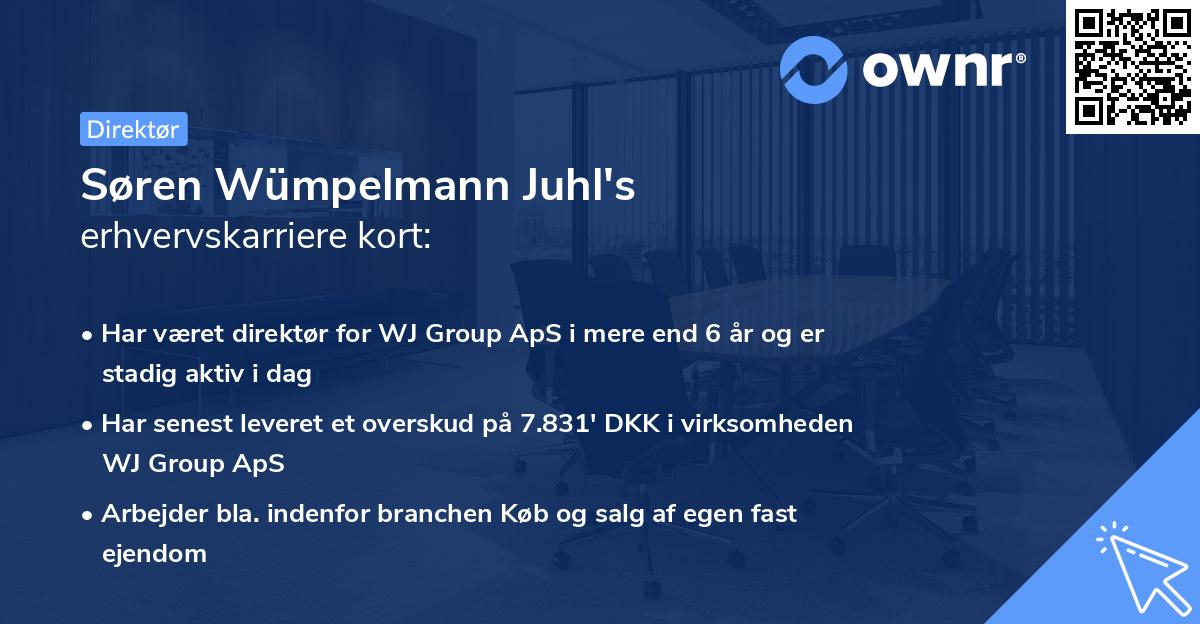 Søren Wümpelmann Juhl's erhvervskarriere kort