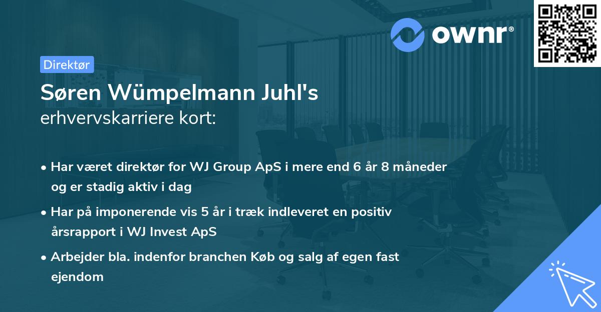 Søren Wümpelmann Juhl's erhvervskarriere kort
