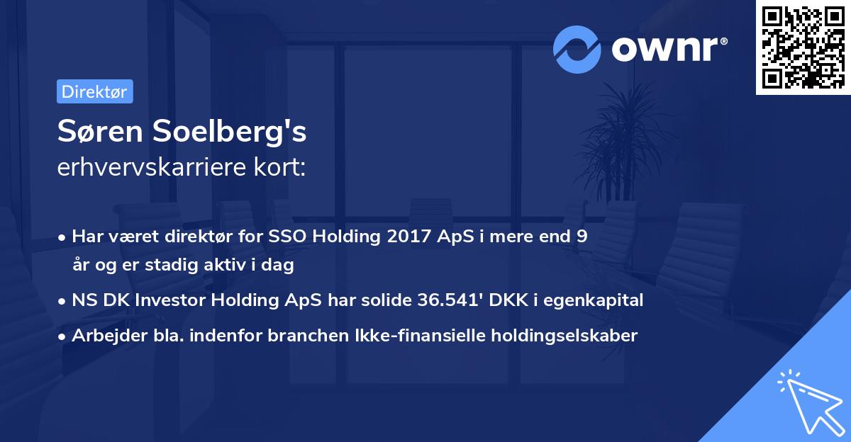 Søren Soelberg's erhvervskarriere kort