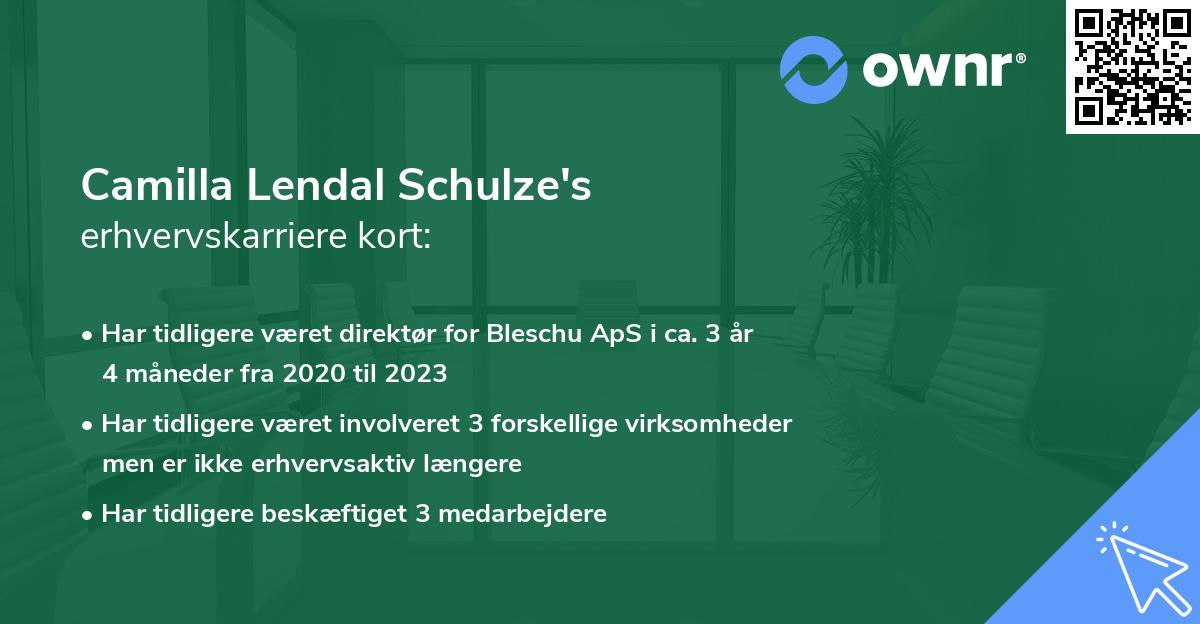 Camilla Lendal Schulze's erhvervskarriere kort