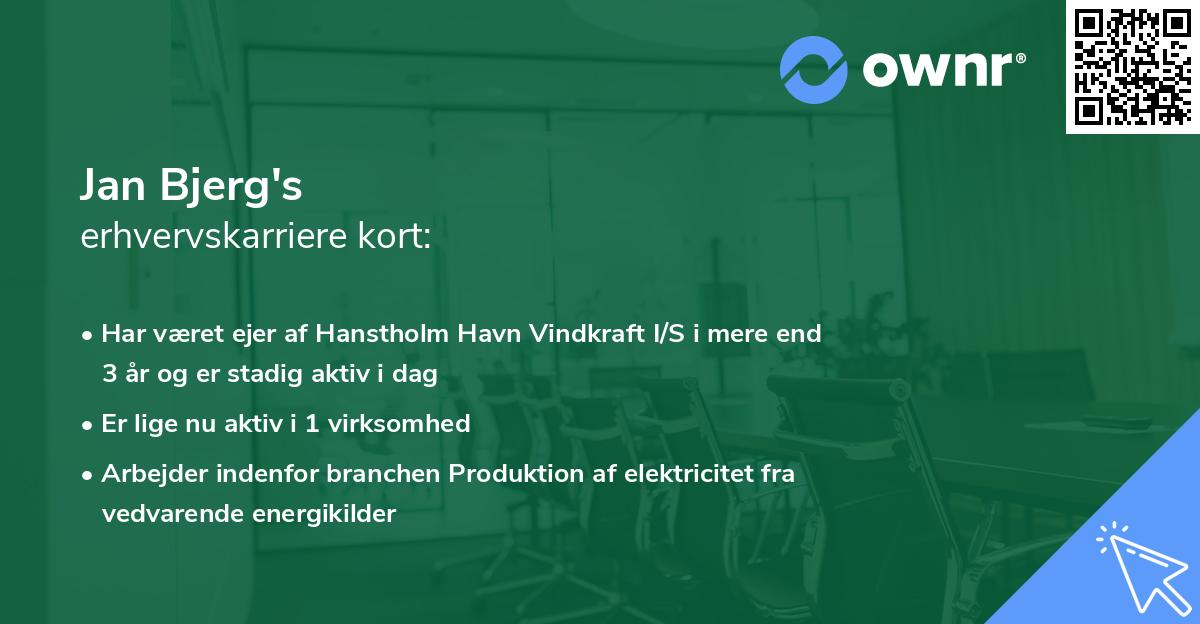 Jan Bjerg's erhvervskarriere kort