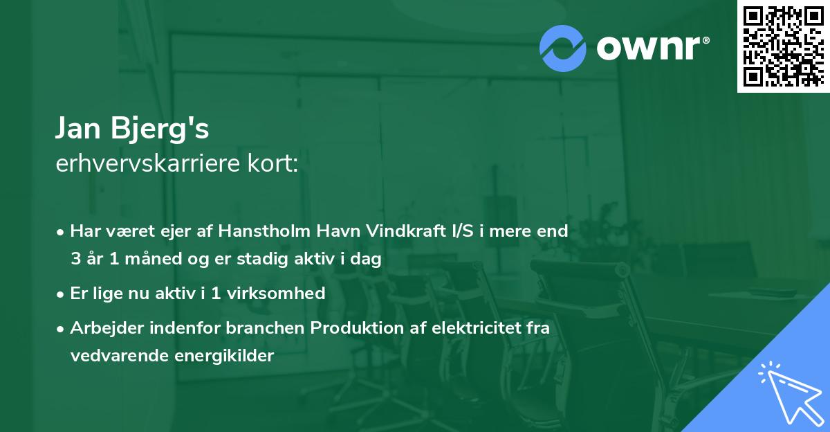 Jan Bjerg's erhvervskarriere kort