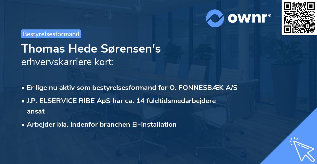 Thomas Hede Sørensen's erhvervskarriere kort