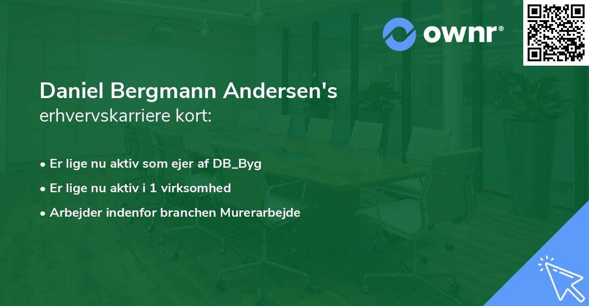 Daniel Bergmann Andersen's erhvervskarriere kort