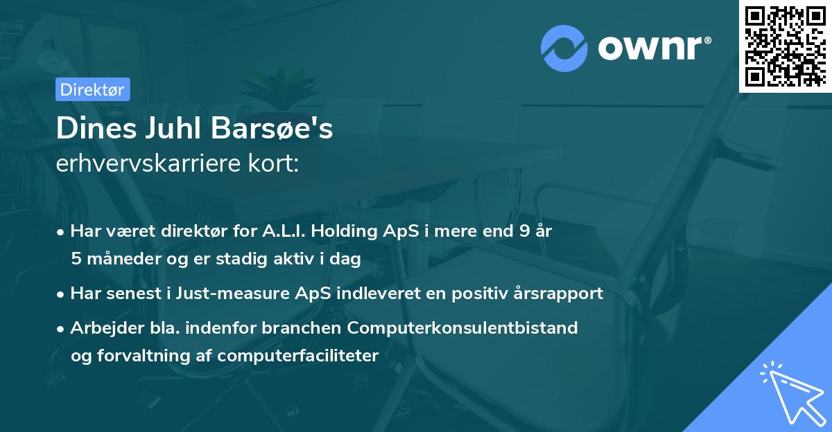 Dines Juhl Barsøe's erhvervskarriere kort
