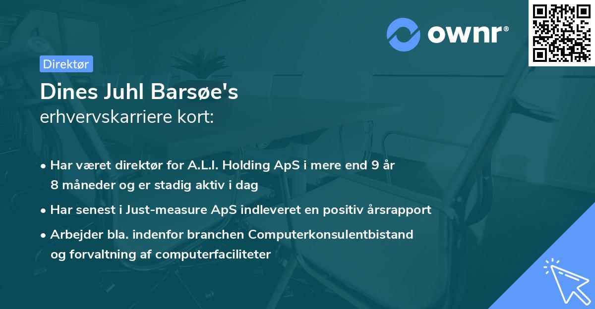 Dines Juhl Barsøe's erhvervskarriere kort