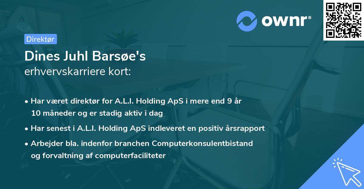 Dines Juhl Barsøe's erhvervskarriere kort