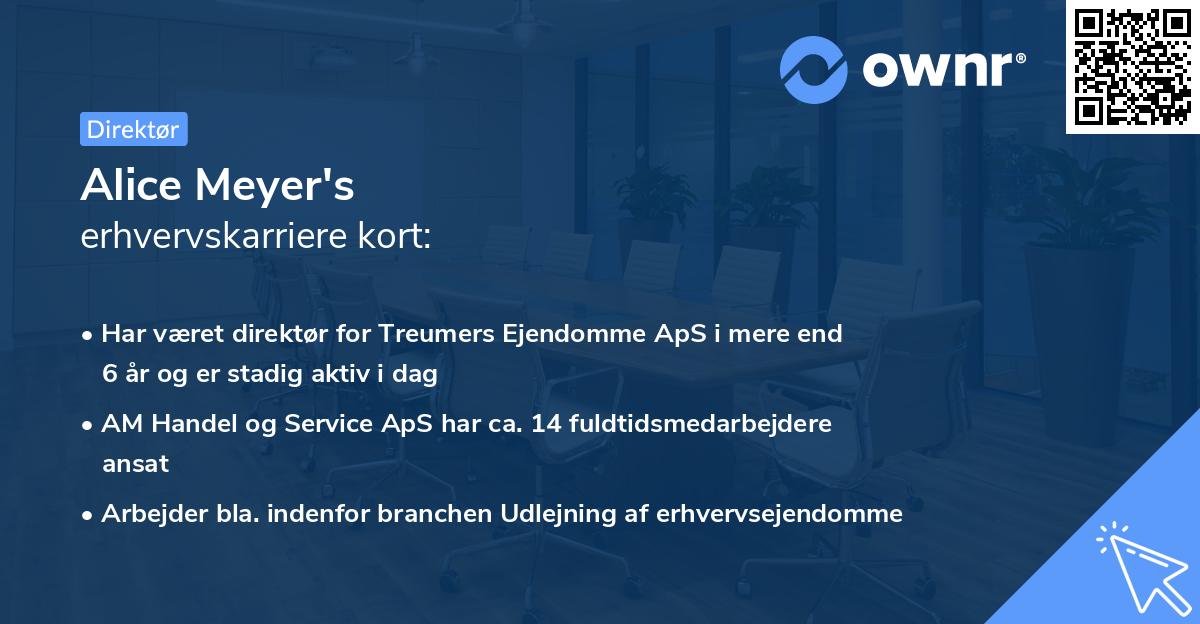 Alice Meyer's erhvervskarriere kort