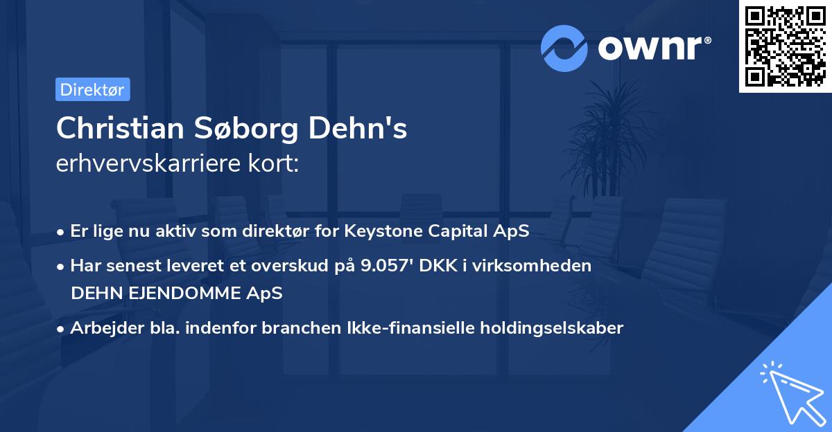 Christian Søborg Dehn's erhvervskarriere kort