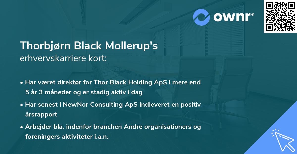 Thorbjørn Black Mollerup's erhvervskarriere kort