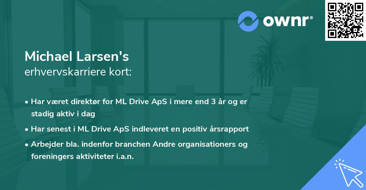 Michael Larsen's erhvervskarriere kort
