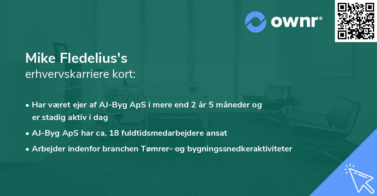 Mike Fledelius's erhvervskarriere kort