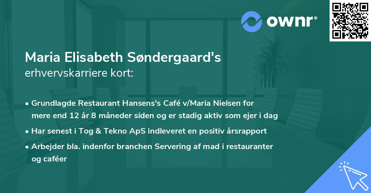 Maria Elisabeth Søndergaard's erhvervskarriere kort