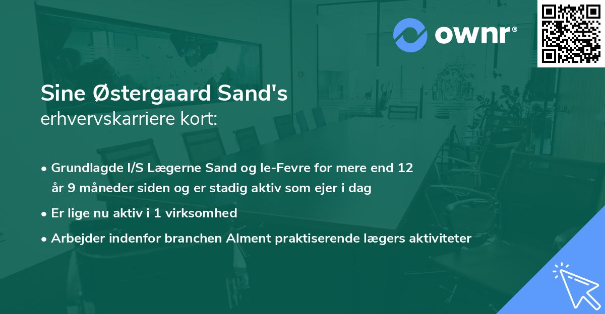 Sine Østergaard Sand's erhvervskarriere kort