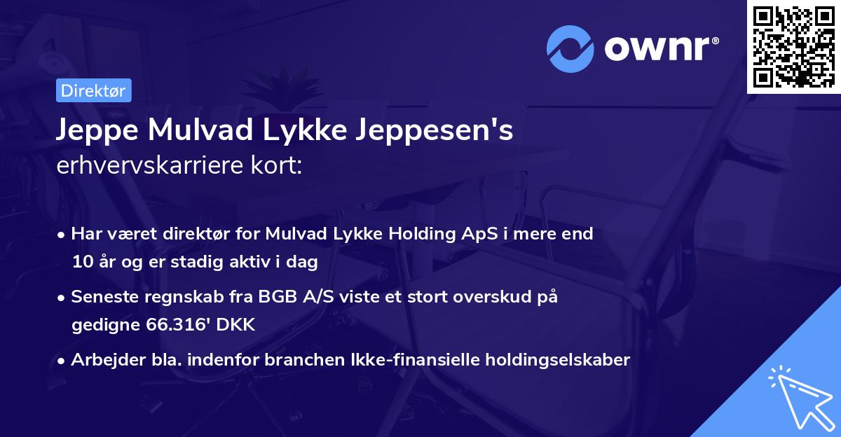 Jeppe Mulvad Lykke Jeppesen's erhvervskarriere kort