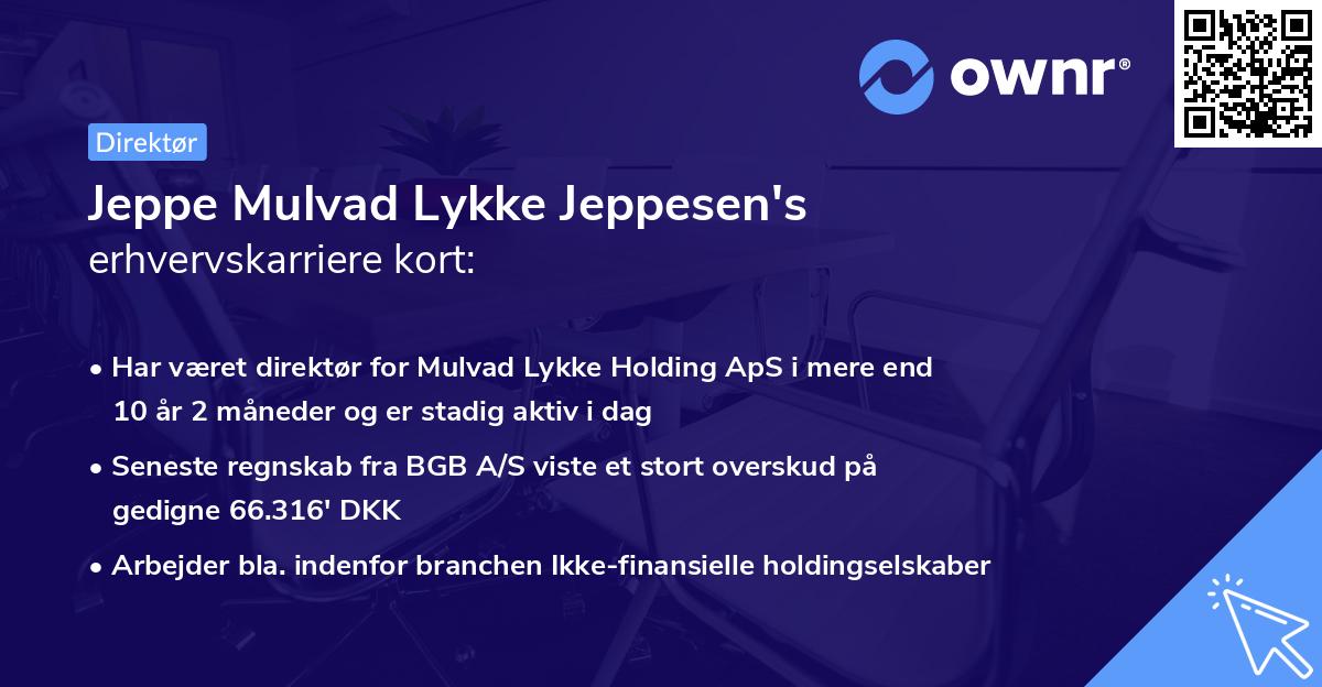Jeppe Mulvad Lykke Jeppesen's erhvervskarriere kort