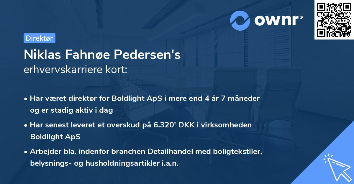 Niklas Fahnøe Pedersen's erhvervskarriere kort