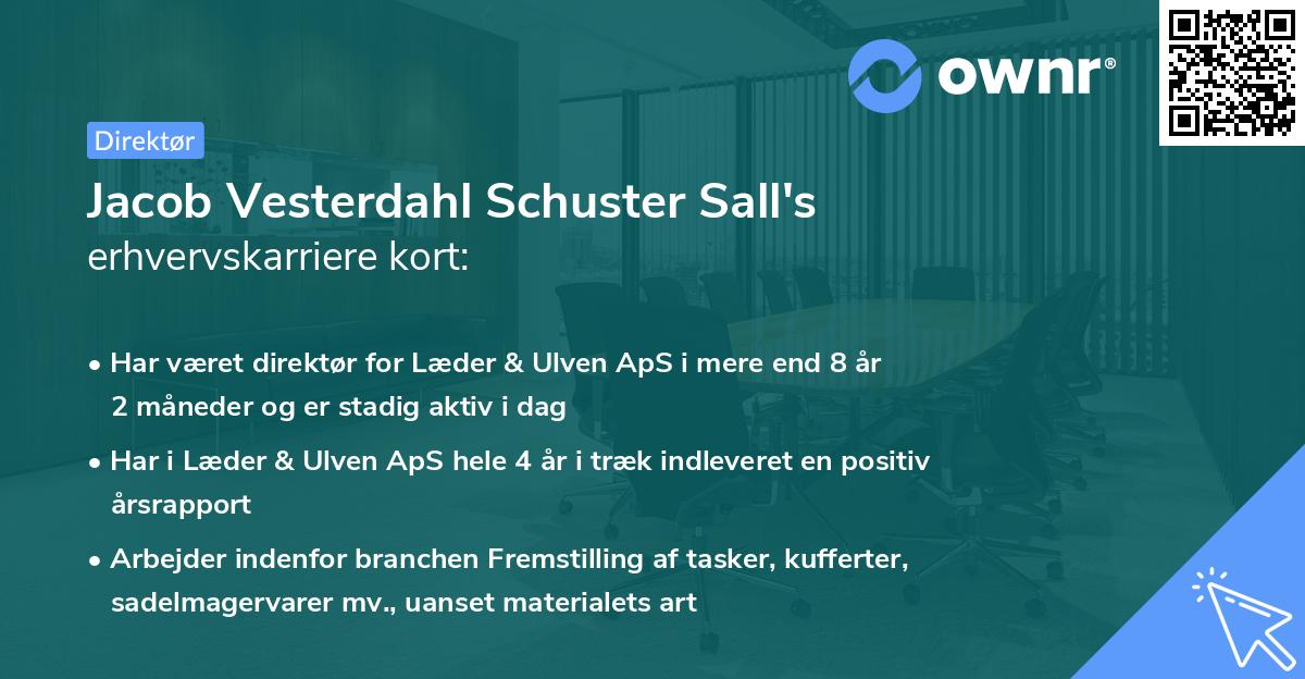 Jacob Vesterdahl Schuster Sall's erhvervskarriere kort