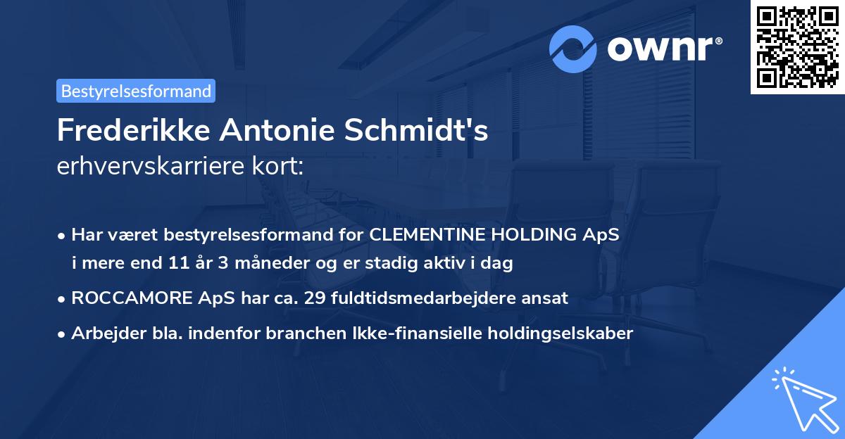 Frederikke Antonie Schmidt's erhvervskarriere kort