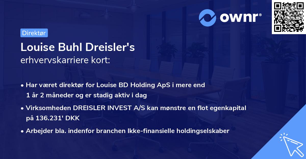 Louise Buhl Dreisler's erhvervskarriere kort