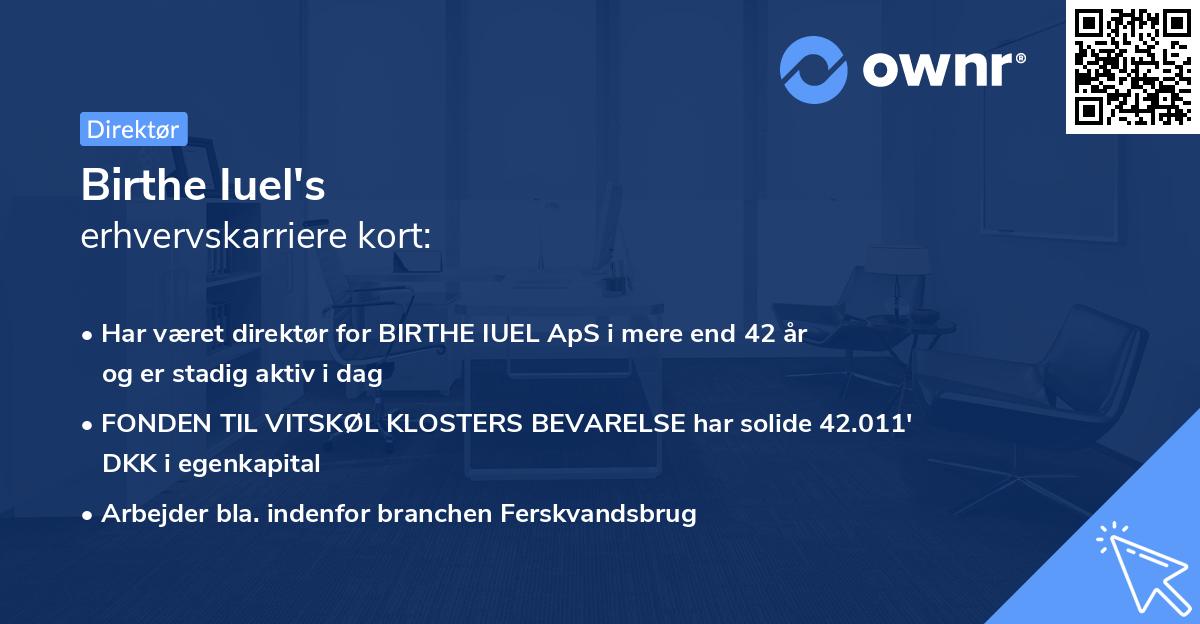 Birthe Iuel's erhvervskarriere kort