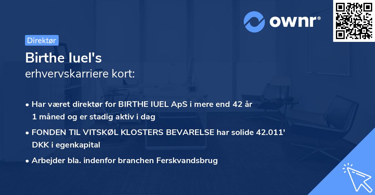 Birthe Iuel's erhvervskarriere kort