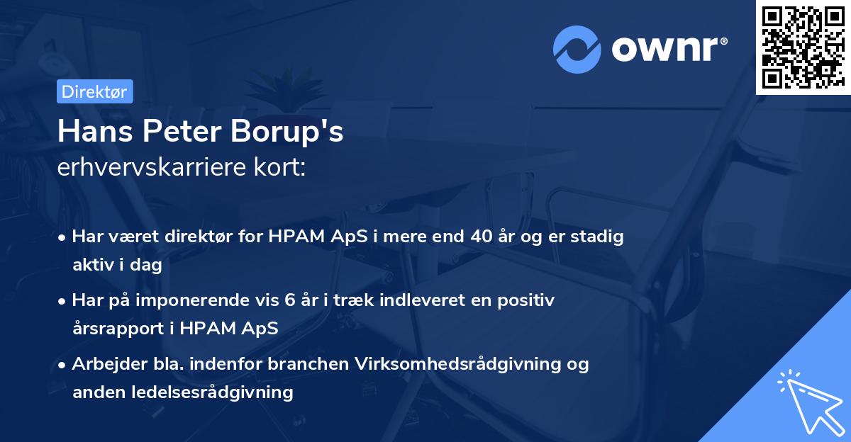Hans Peter Borup's erhvervskarriere kort