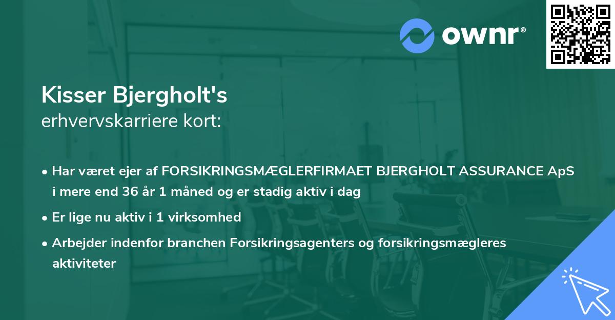 Kisser Bjergholt's erhvervskarriere kort