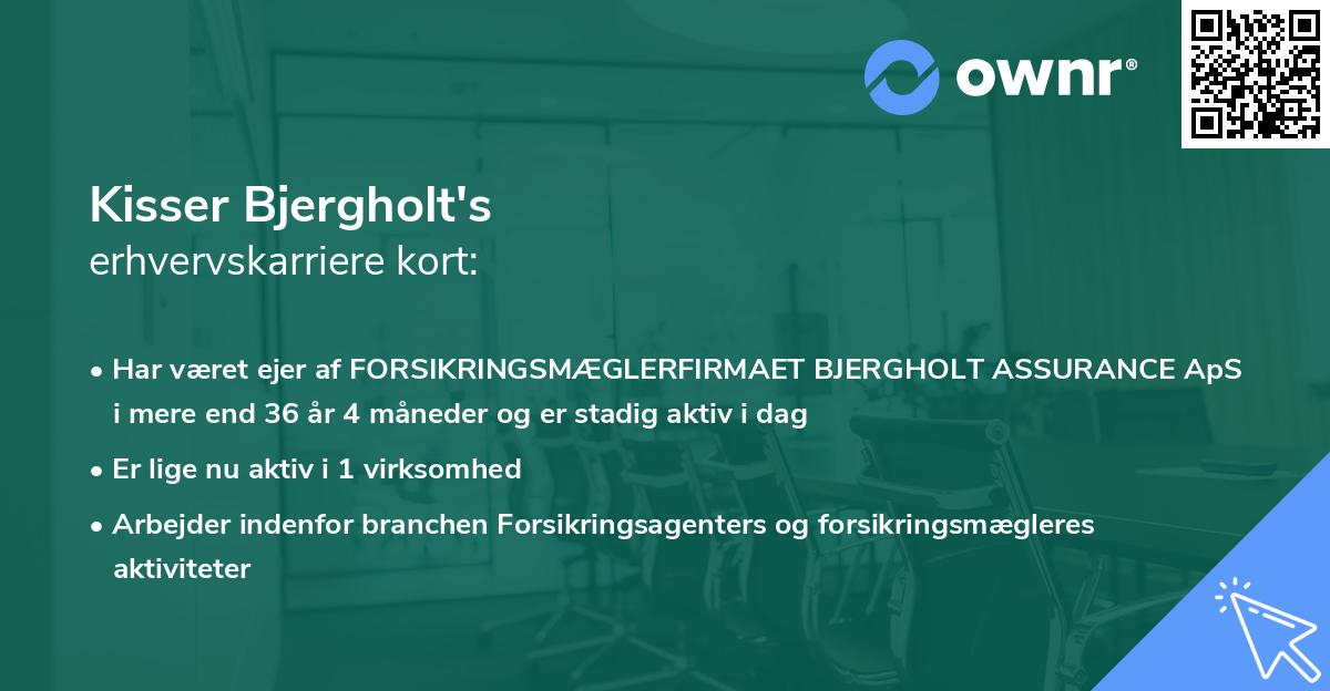 Kisser Bjergholt's erhvervskarriere kort