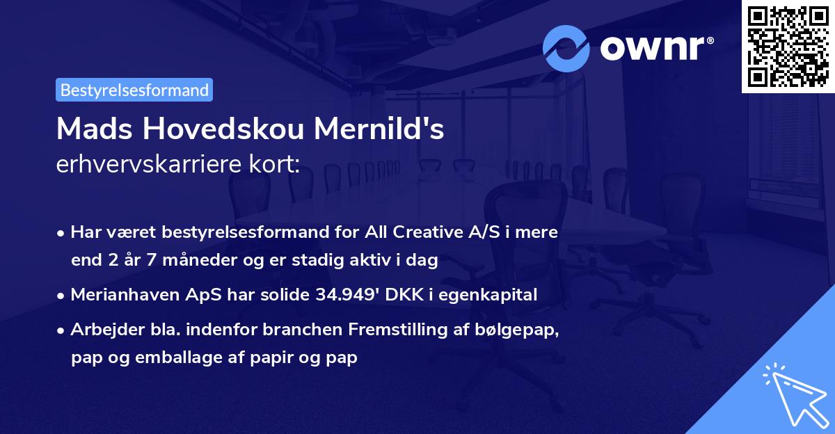 Mads Hovedskou Mernild's erhvervskarriere kort