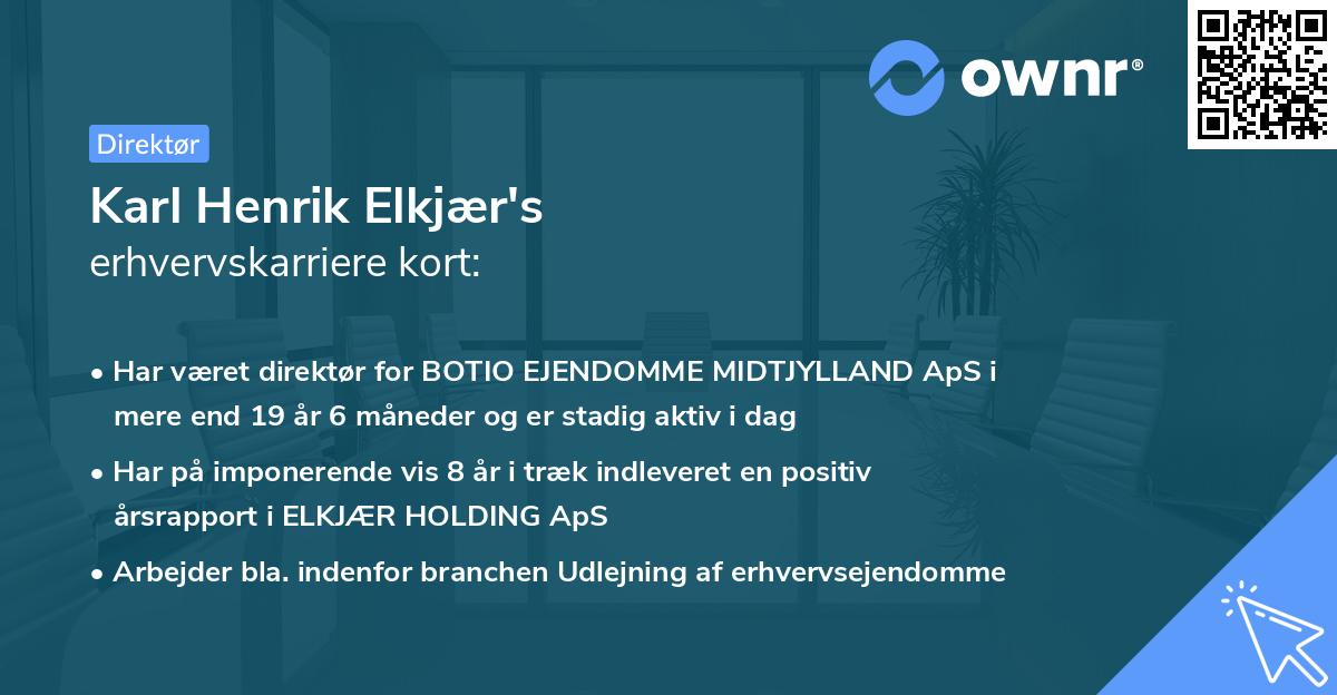 Karl Henrik Elkjær's erhvervskarriere kort